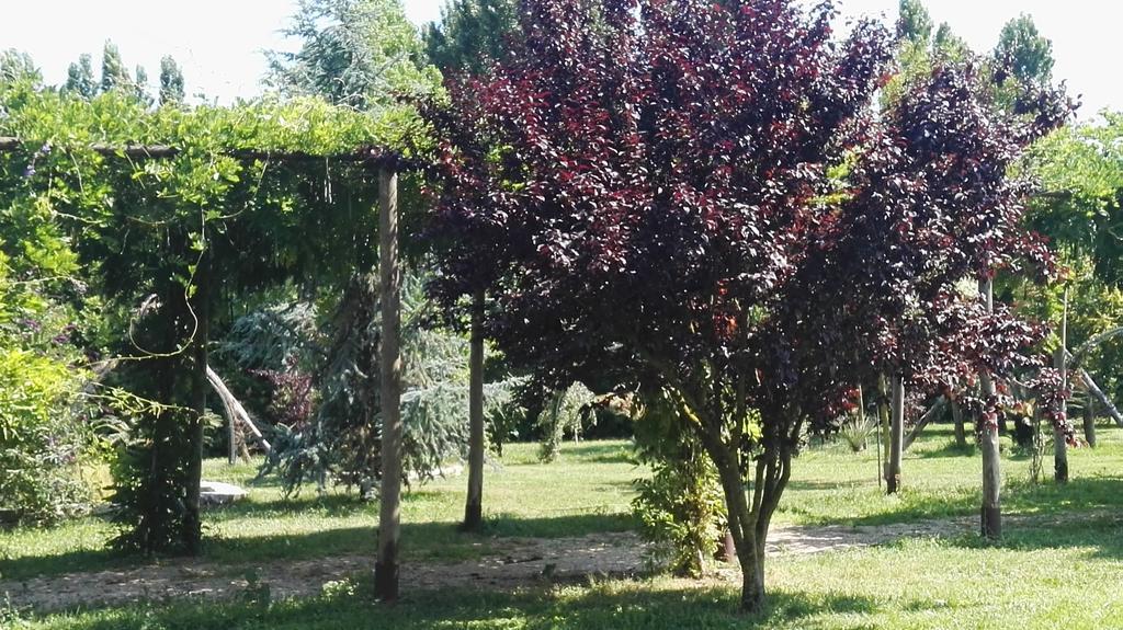 Tenuta Le Pantanelle Villa Sezze Kültér fotó