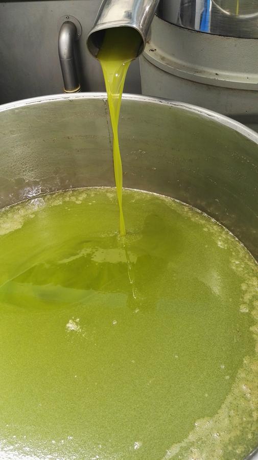 Tenuta Le Pantanelle Villa Sezze Kültér fotó
