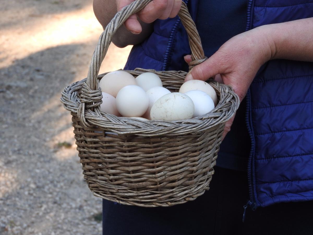 Tenuta Le Pantanelle Villa Sezze Kültér fotó